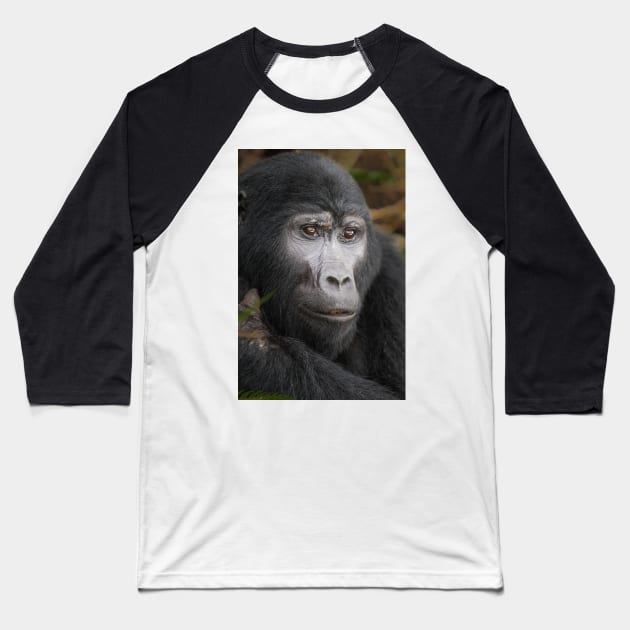 Gorilla II Baseball T-Shirt by njones